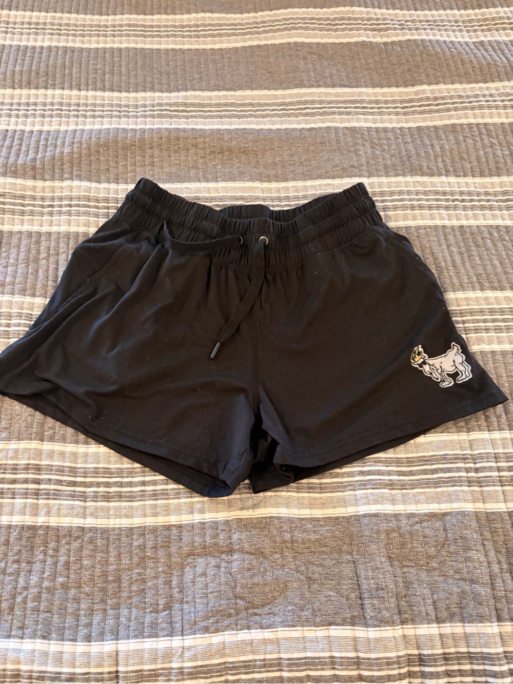 Goat USA Black Women's Medium Drawstring Shorts